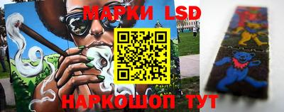стаф Кандалакша