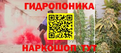 стафф Канаш