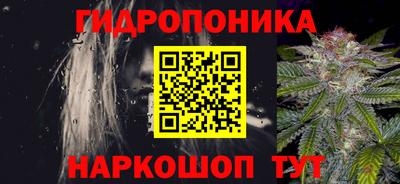стаф Кандалакша