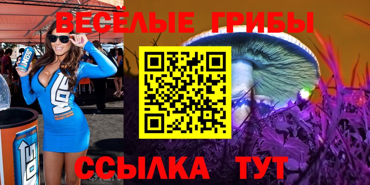 Галлюциногенные грибы мицелий Ленинск-Кузнецкий