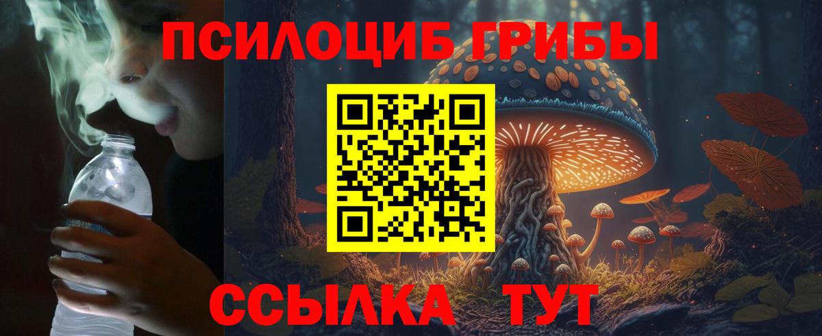 Галлюциногенные грибы прущие грибы  Вход с VPN  Ленинск-Кузнецкий 